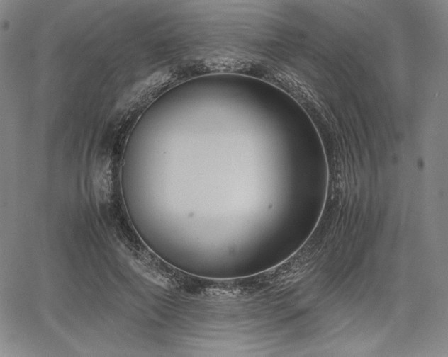 X0000067830690200604131201