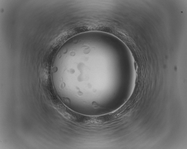 X0000067830691200604131201