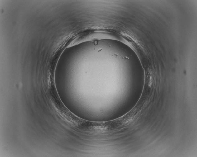 X0000067830692200604131201