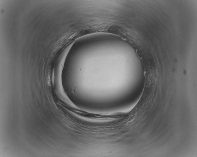 X0000067830693200604131201