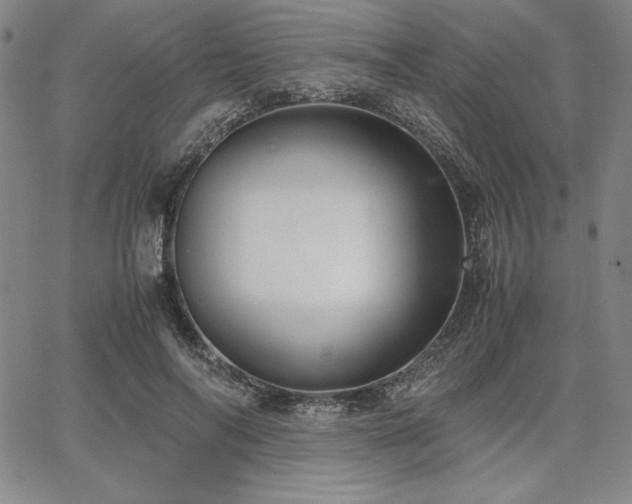 X0000067830694200604131201