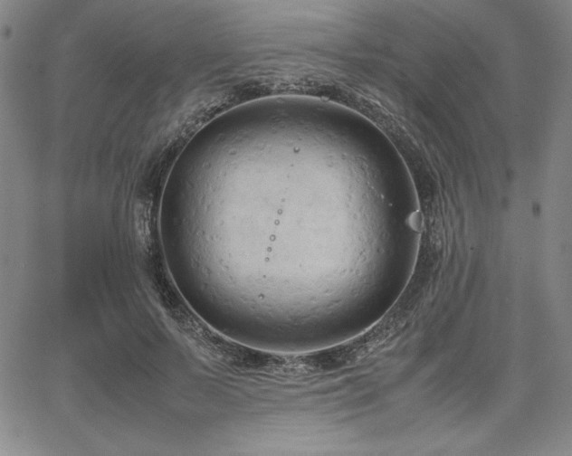 X0000067830695200604131201