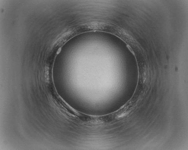 X0000067830696200604131201