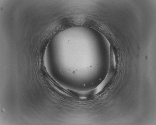 X0000067830697200604131201