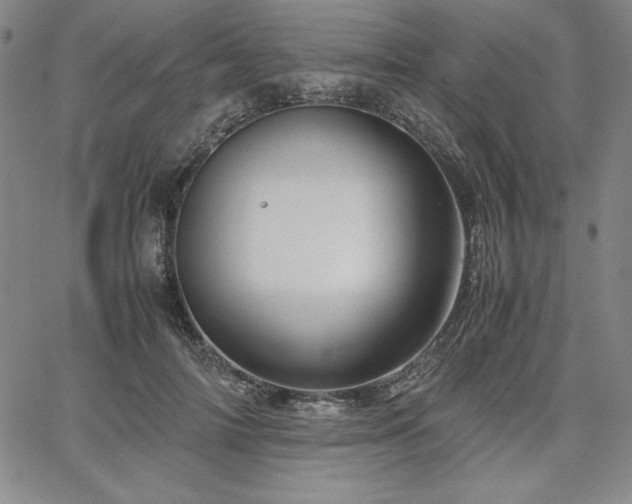 X0000067830698200604131201