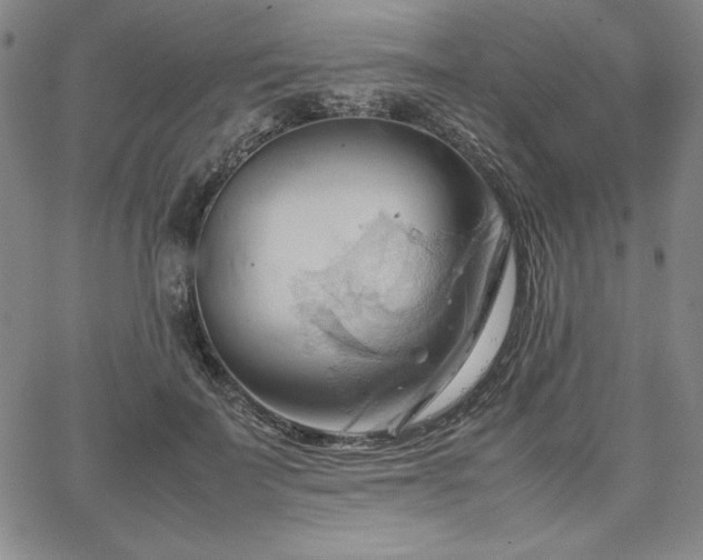 X0000067830699200604131201