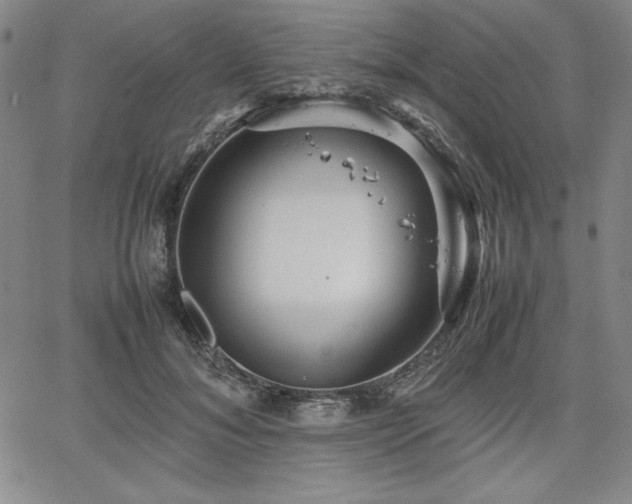 X0000067830700200604131201