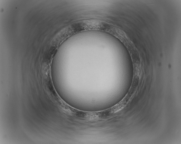 X0000067830701200604131201