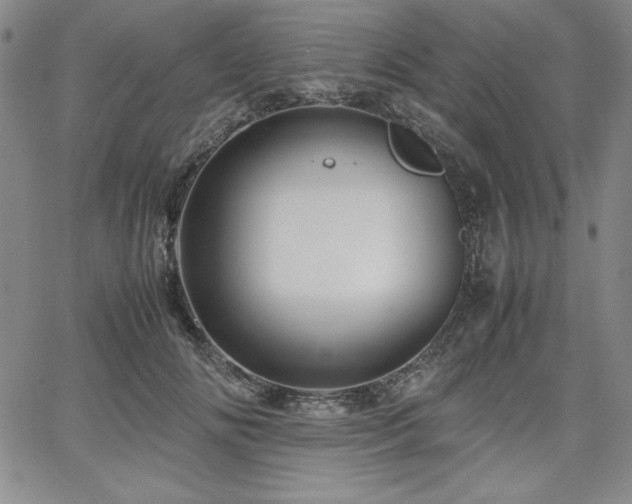 X0000067830702200604131201