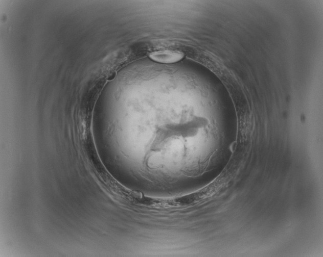 X0000067830703200604131201