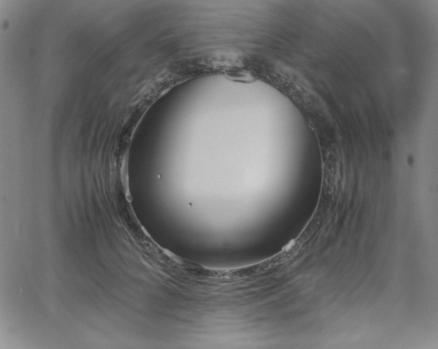 X0000067830704200604131201