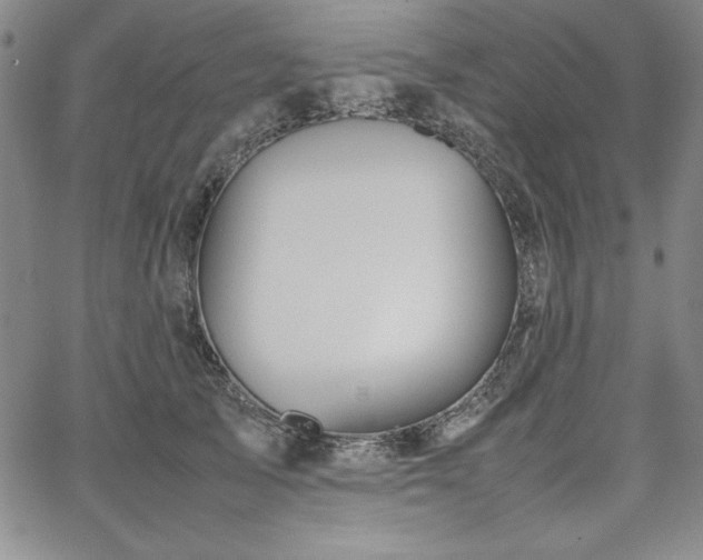 X0000067830705200604131201