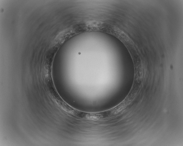 X0000067830706200604131201