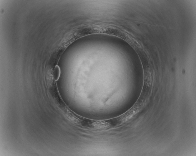 X0000067830707200604131201