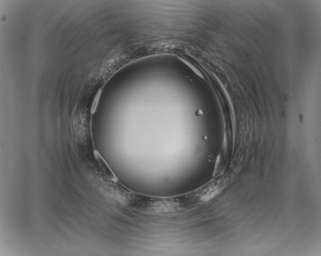 X0000067830708200604131201