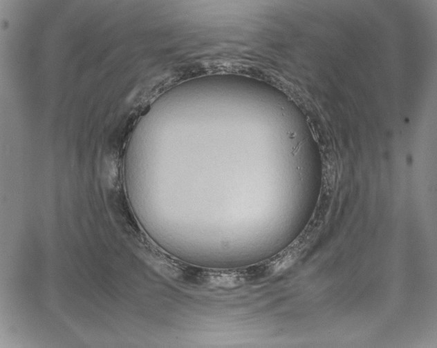 X0000067830709200604131201