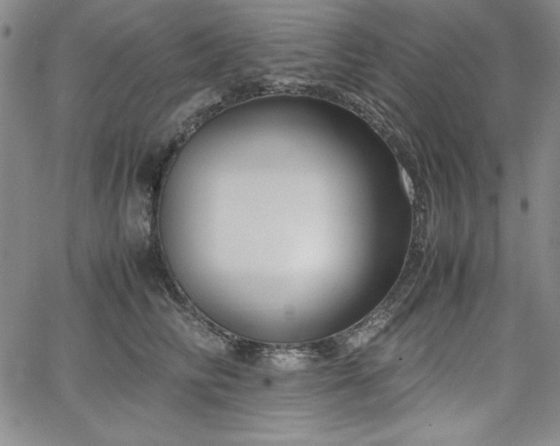 X0000067830710200604131201