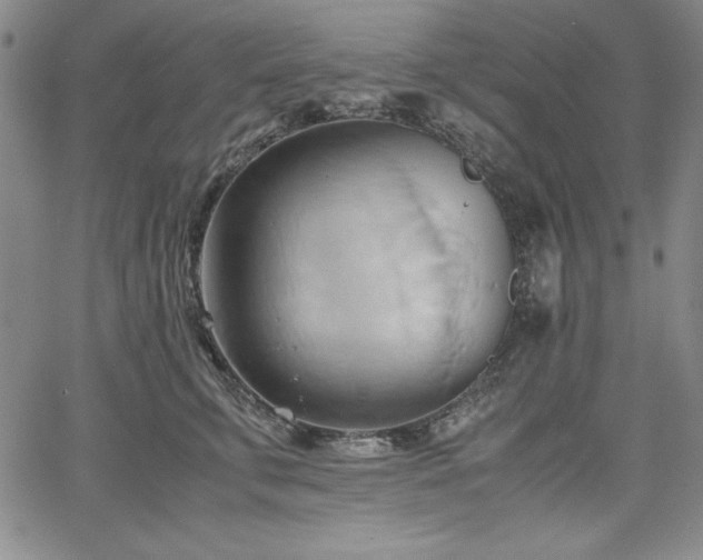 X0000067830711200604131201