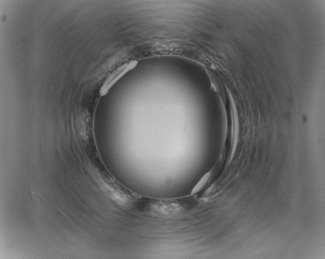 X0000067830712200604131201