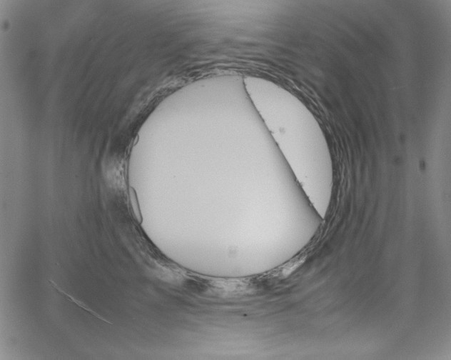 X0000067830713200604131201