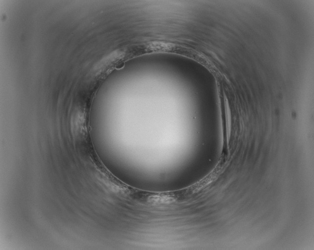 X0000067830714200604131201