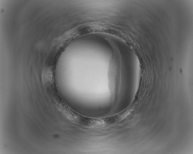 X0000067830715200604131201