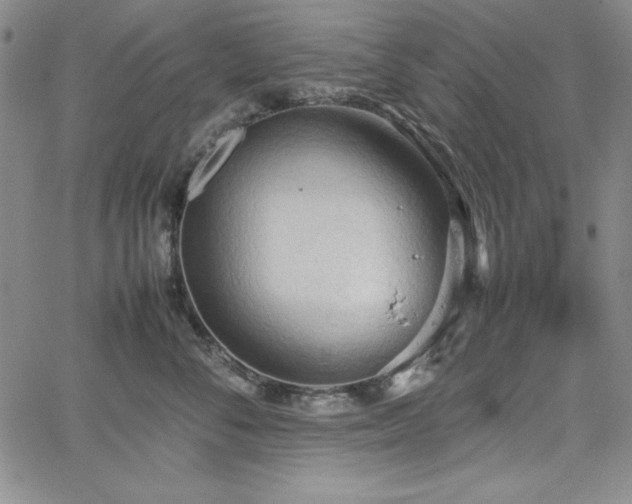 X0000067830716200604131201