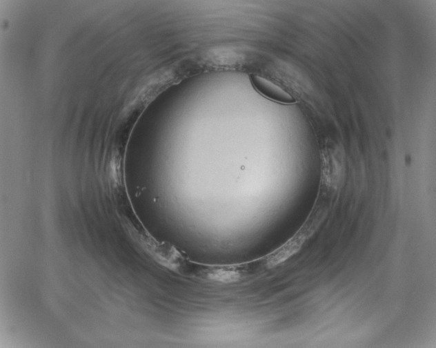 X0000067830718200604131201