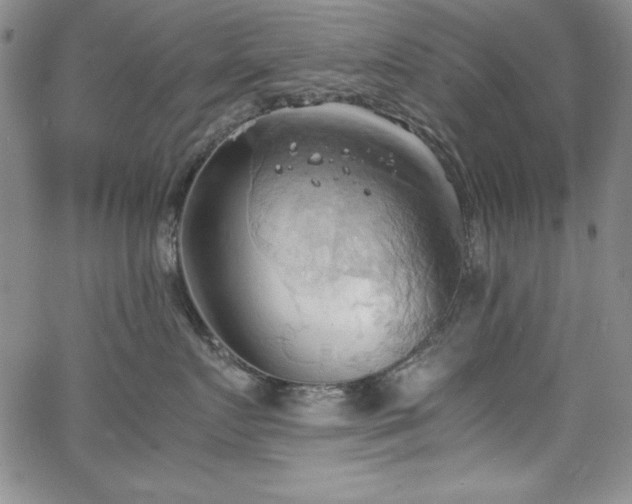 X0000067830719200604131201