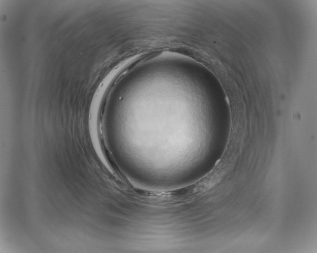 X0000067830720200604131201