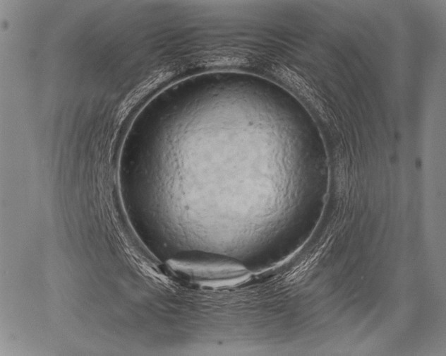 X0000067830721200604131200