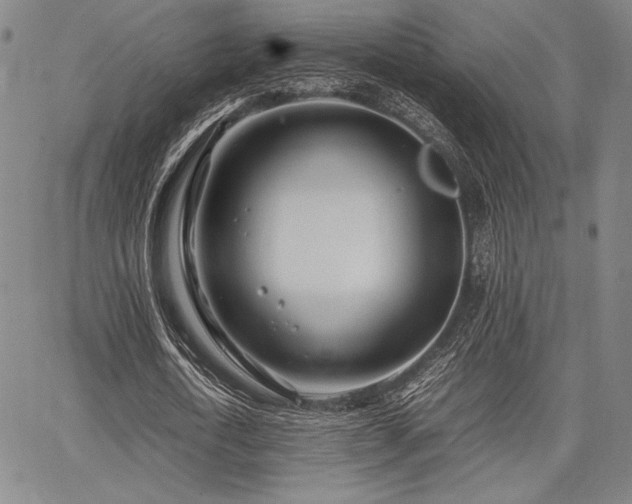 X0000067830722200604131200