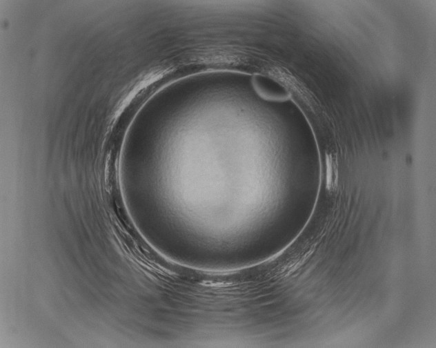 X0000067830723200604131200