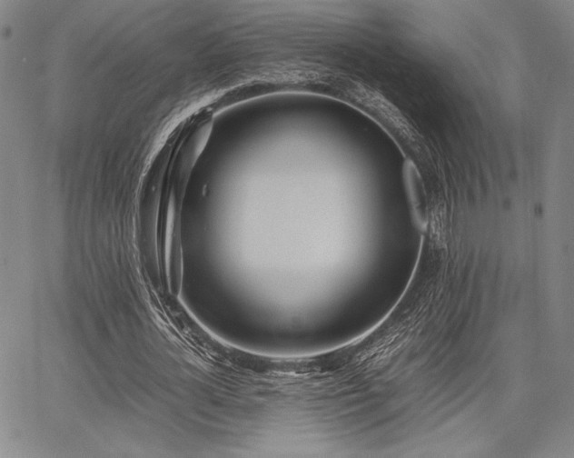 X0000067830724200604131200