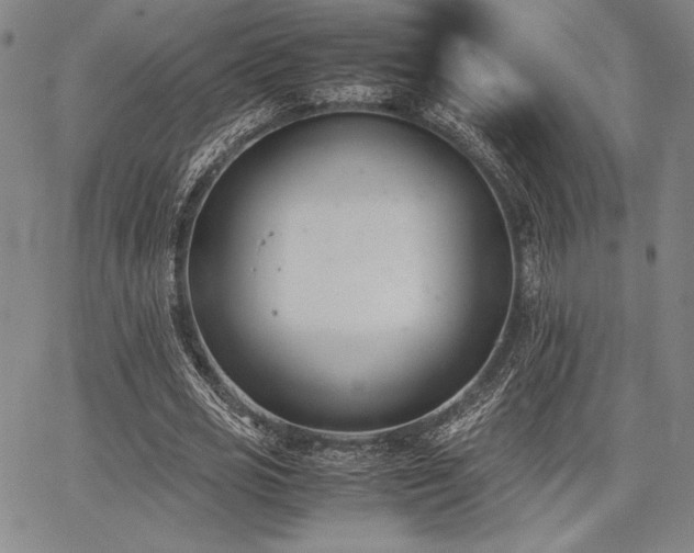 X0000067830725200604131200