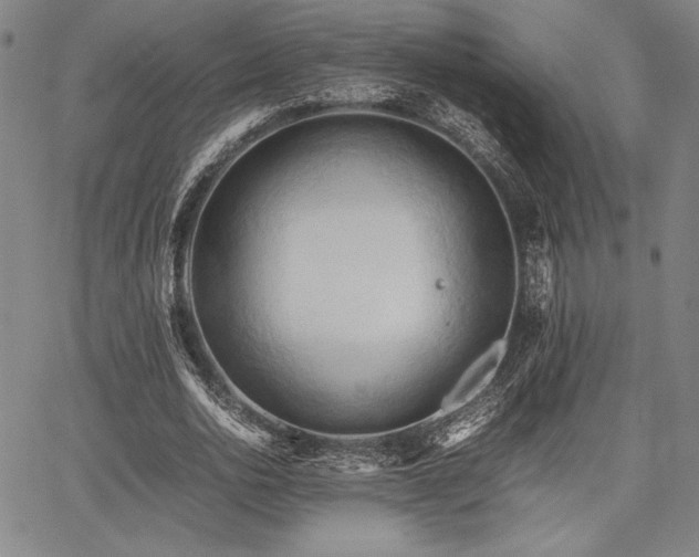 X0000067830726200604131200