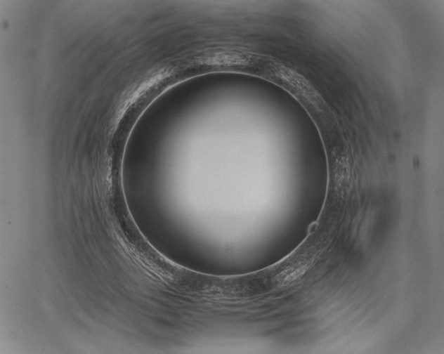 X0000067830727200604131200