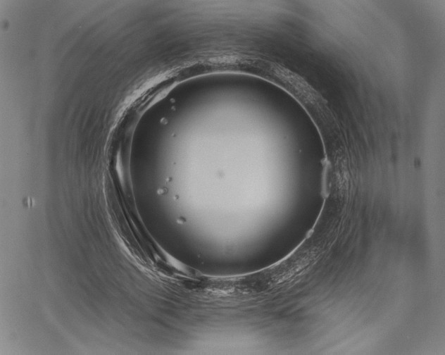 X0000067830728200604131200