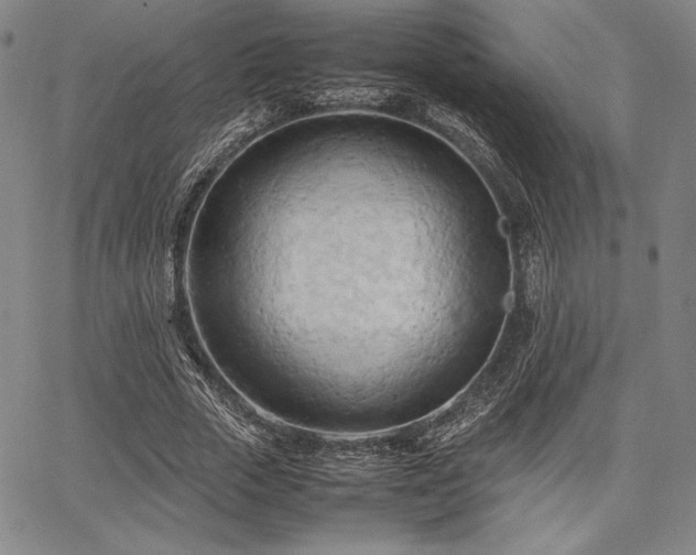 X0000067830729200604131200