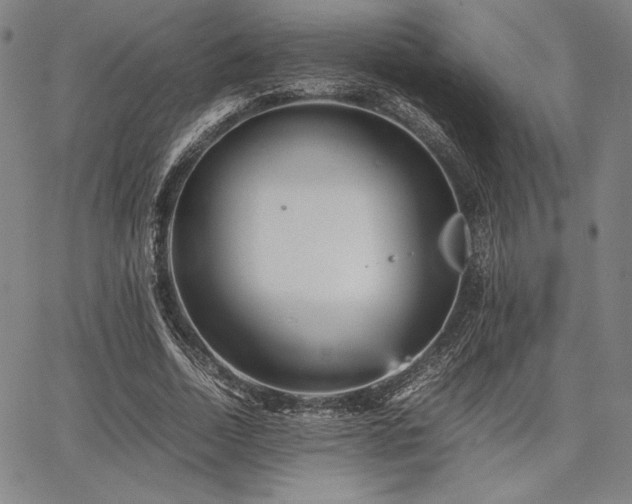 X0000067830730200604131200