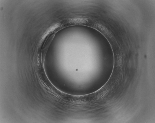 X0000067830731200604131200