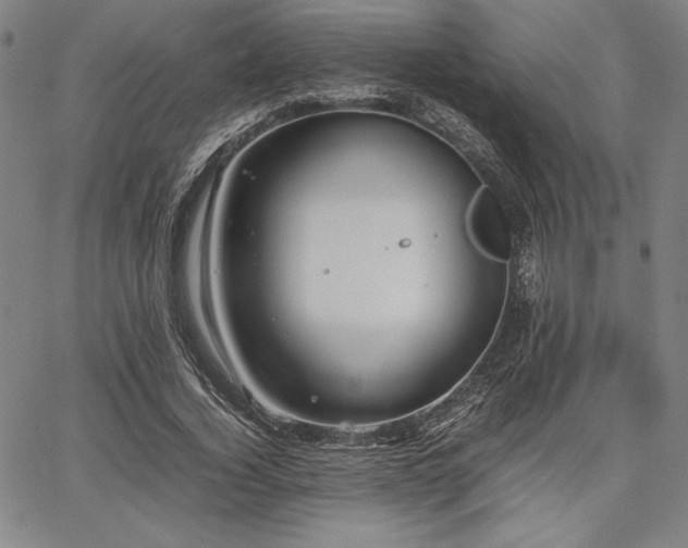 X0000067830732200604131200