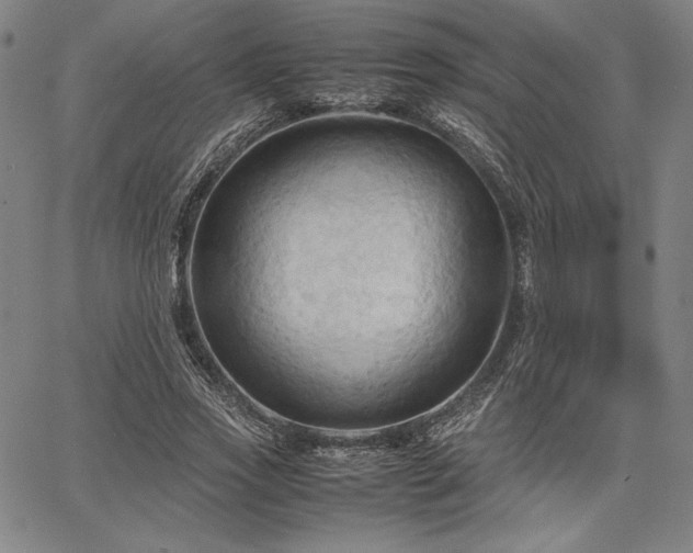 X0000067830733200604131200