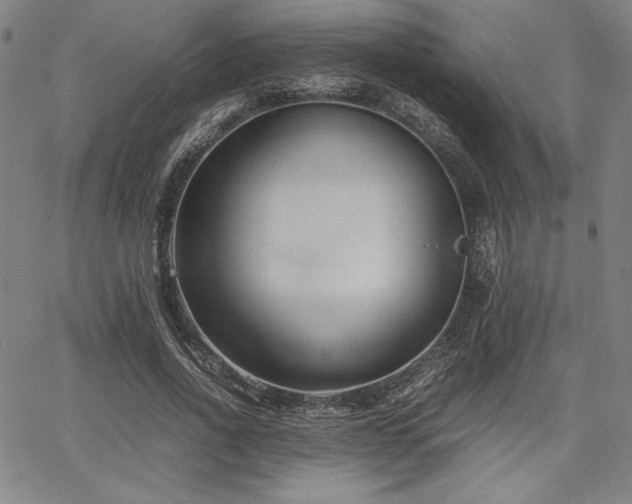 X0000067830734200604131200