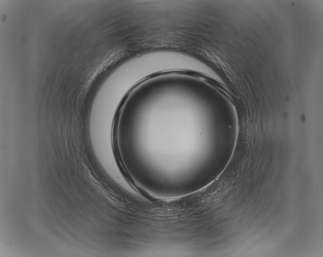 X0000067830735200604131200