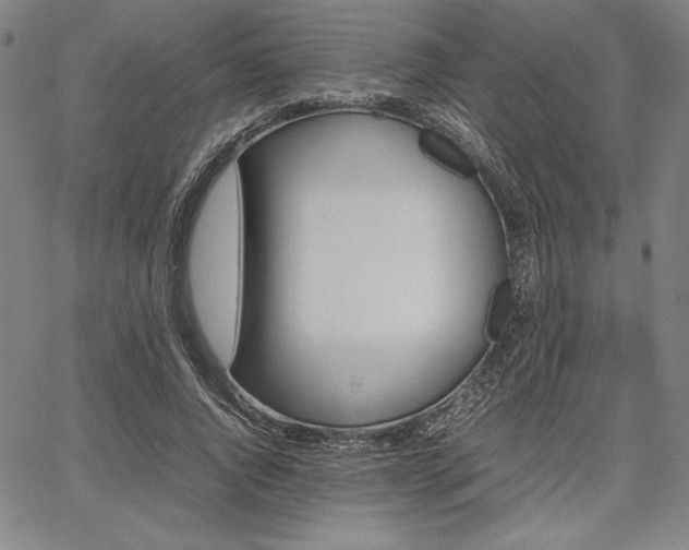 X0000067830736200604131200