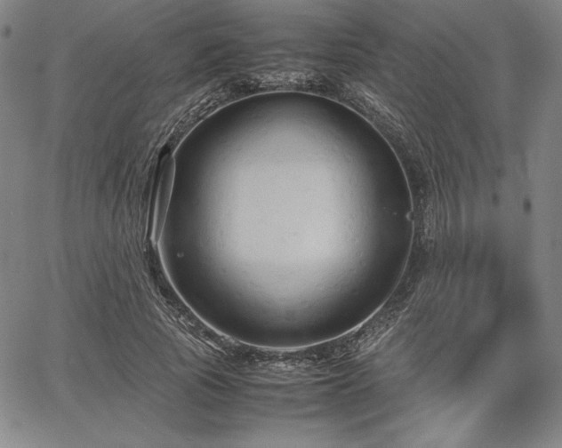 X0000067830737200604131200