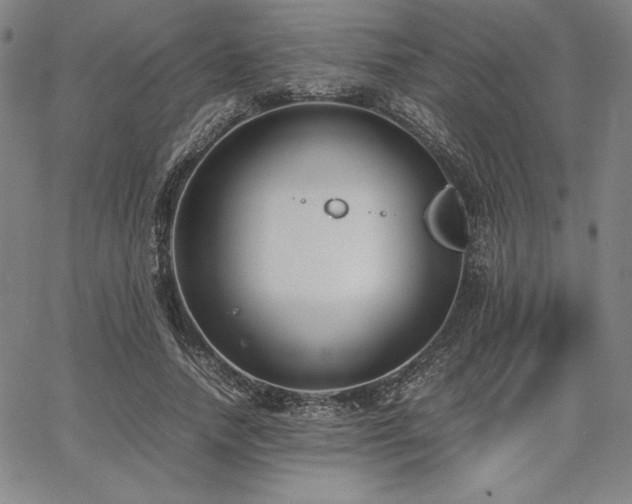 X0000067830738200604131200