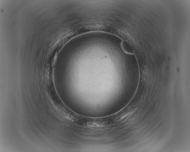 X0000067830739200604131200