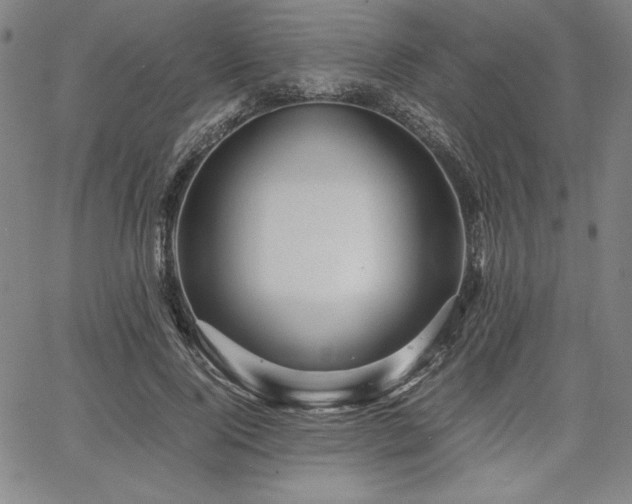 X0000067830740200604131200